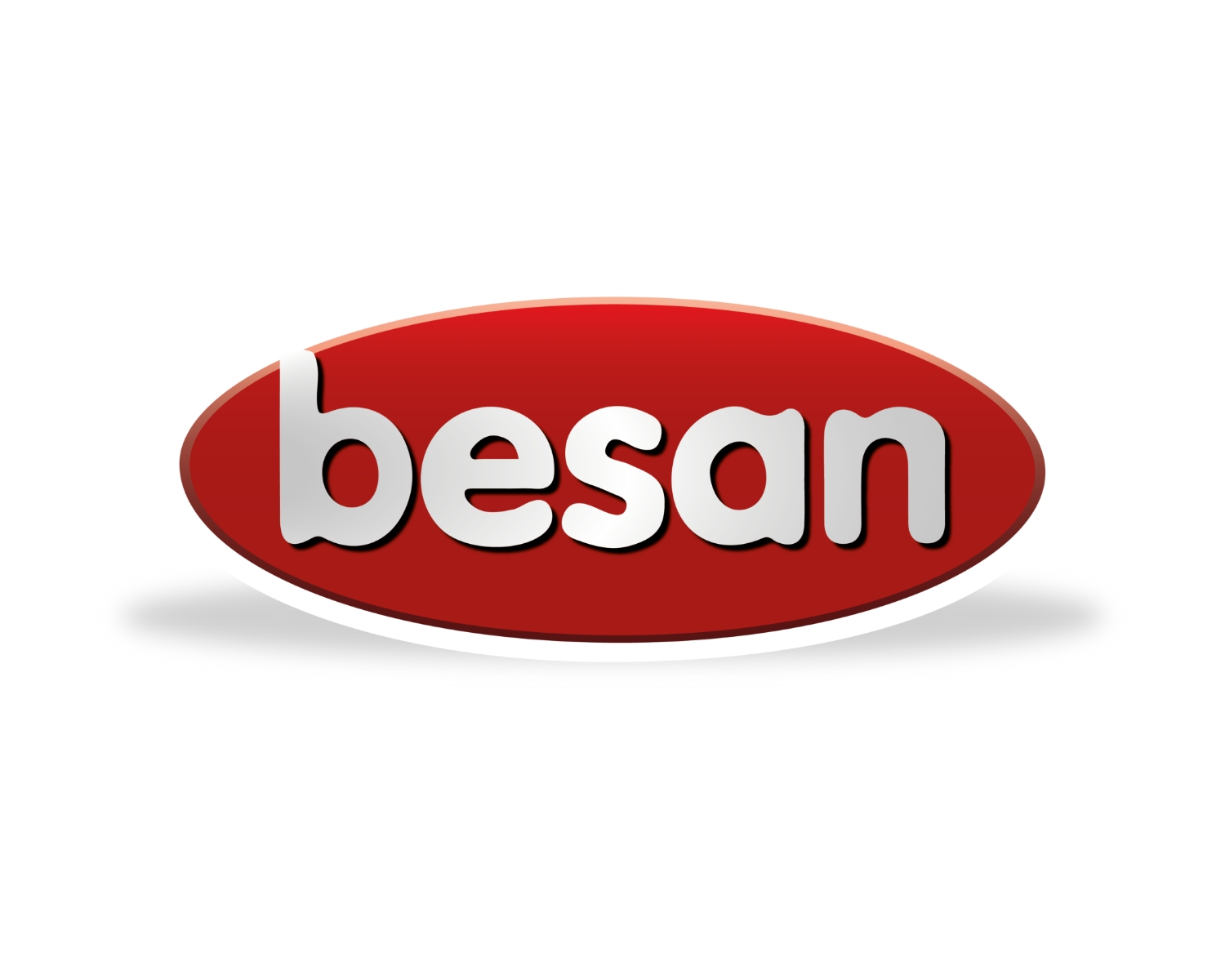 BESAN SALÇA